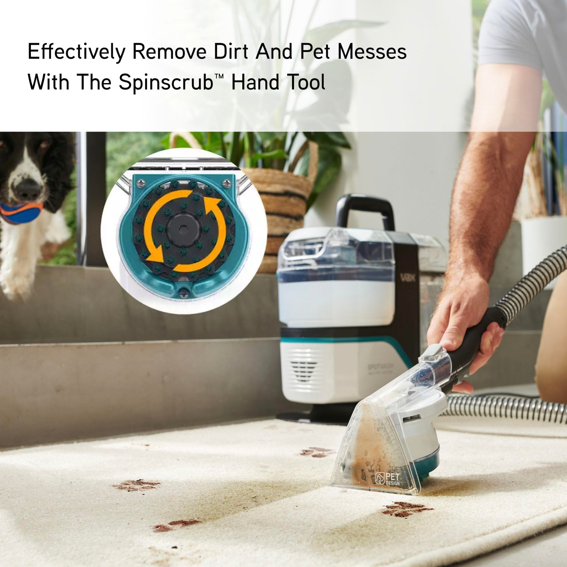 Vax SpotWash Home Pet-Design Spot Cleaner